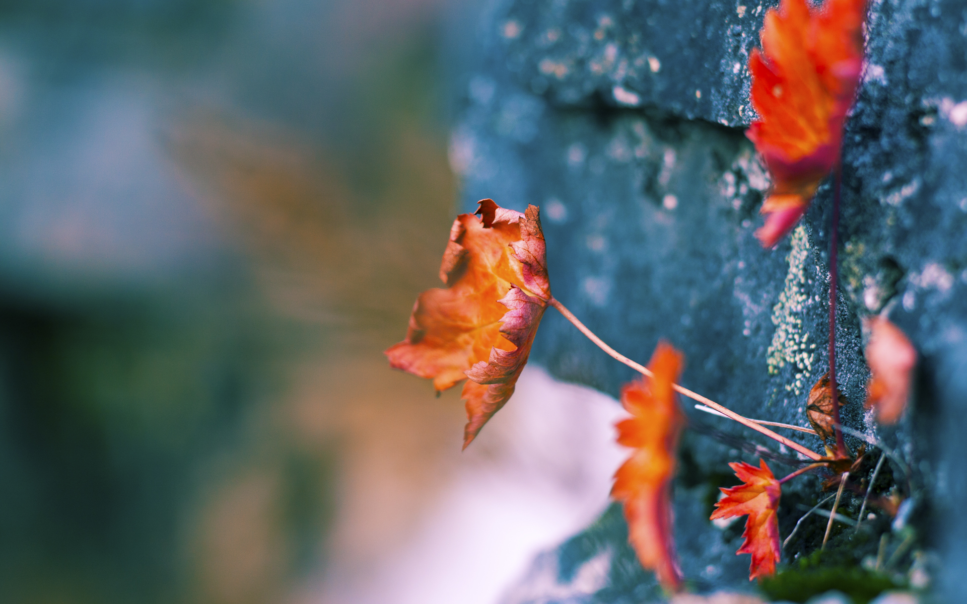 绿茵平行宇宙，苏格兰血拼毕尔巴鄂，苏亚雷斯在意甲焦点战接管比赛