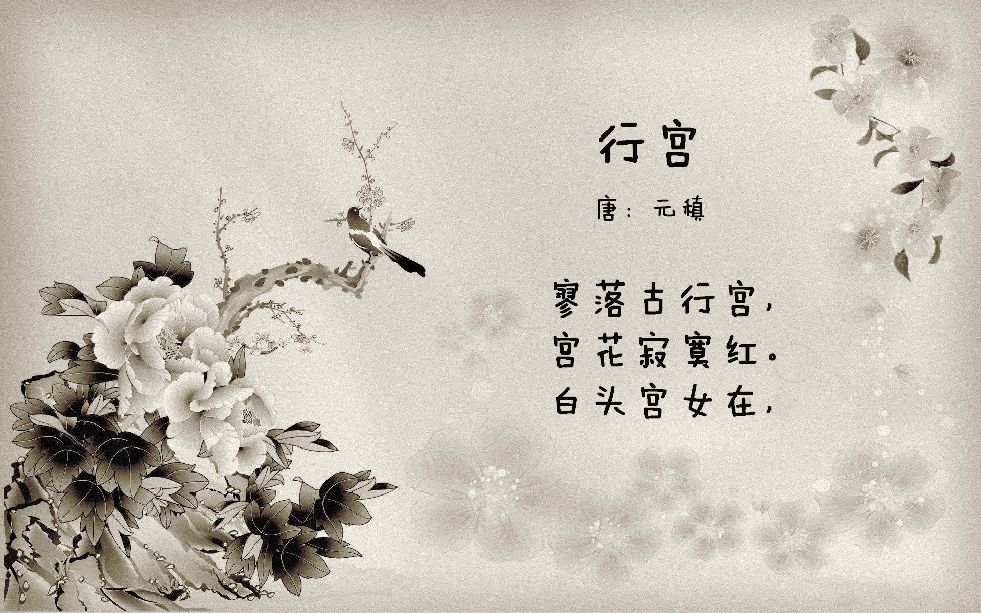 开云体育入口-极速与碰撞的无界舞台，体育如何书写人类挑战之书