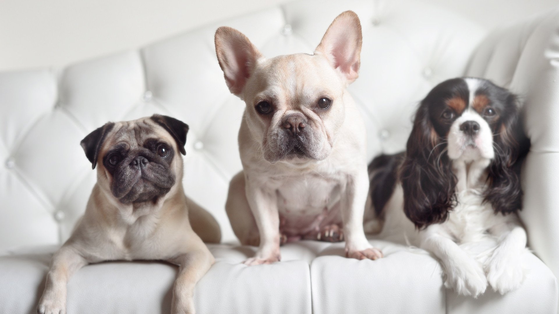 开云体育APP下载-哈兰德制胜球击破铁桶阵，塞维利亚式防守难救澳大利亚