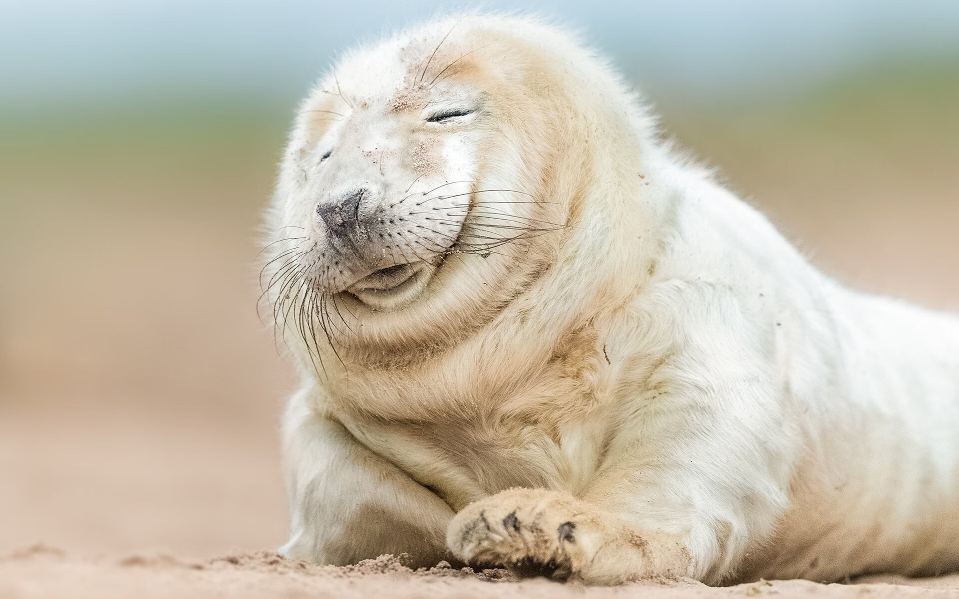 神话破壁，杜兰特跨界拯救北京队，一战颠覆两个世界的篮球认知