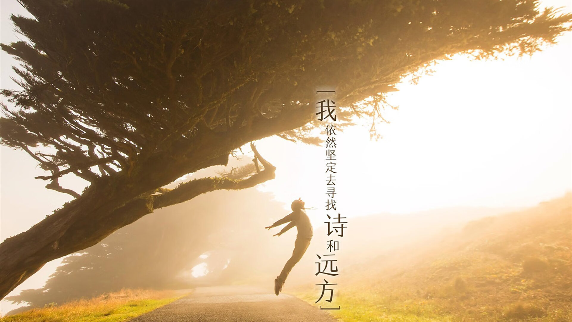 开云下载-独步天下，2026世界杯D组生死战，美国险胜阿联酋，三笘薰以一人战术改写比赛法则