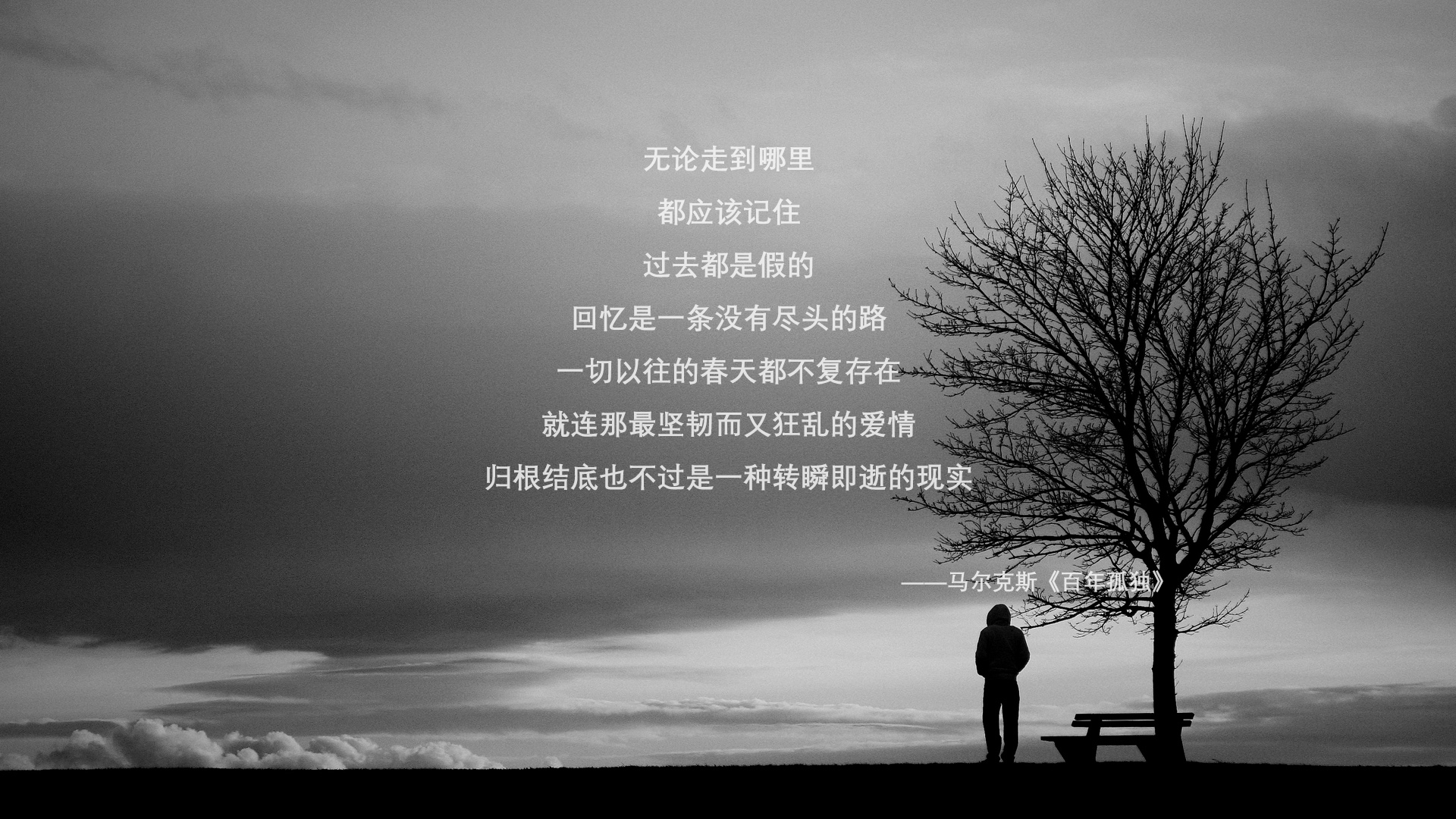 里斯本夜幕下的铁幕反击，当塞尔维亚的战术纪律，碾碎了葡萄牙的华丽幻梦